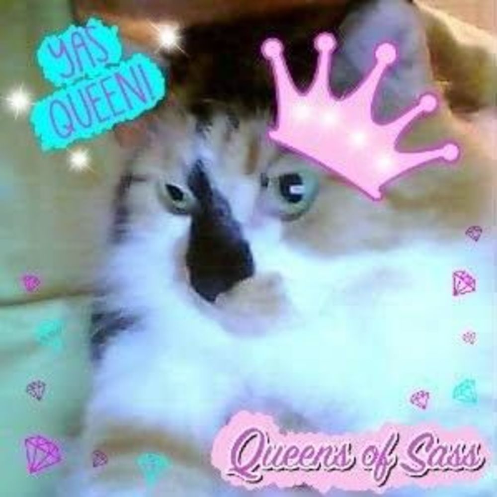 Meet your Posher, Spades